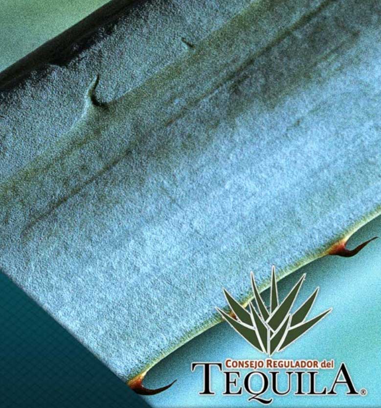 Manual del Técnico Tequilero