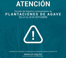 BANNER EXTEMPORANEOS NEW